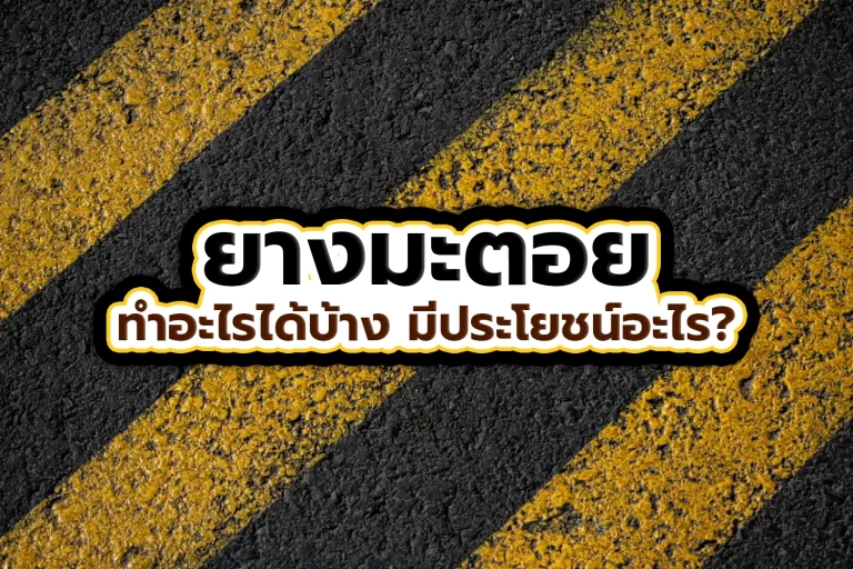 ประโยชน์ของยางมะตอย